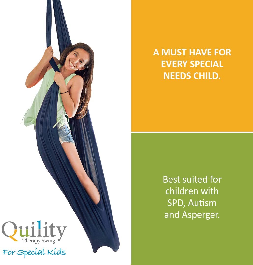 Therapy Snuggle Swing - Dark Blue