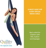 Load image into Gallery viewer, Therapy Snuggle Swing - Dark Blue
